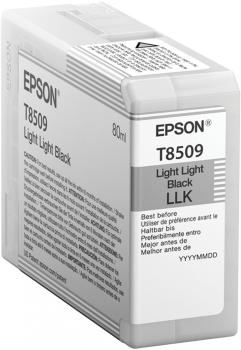 Cartucho EPSON T850900, Negro